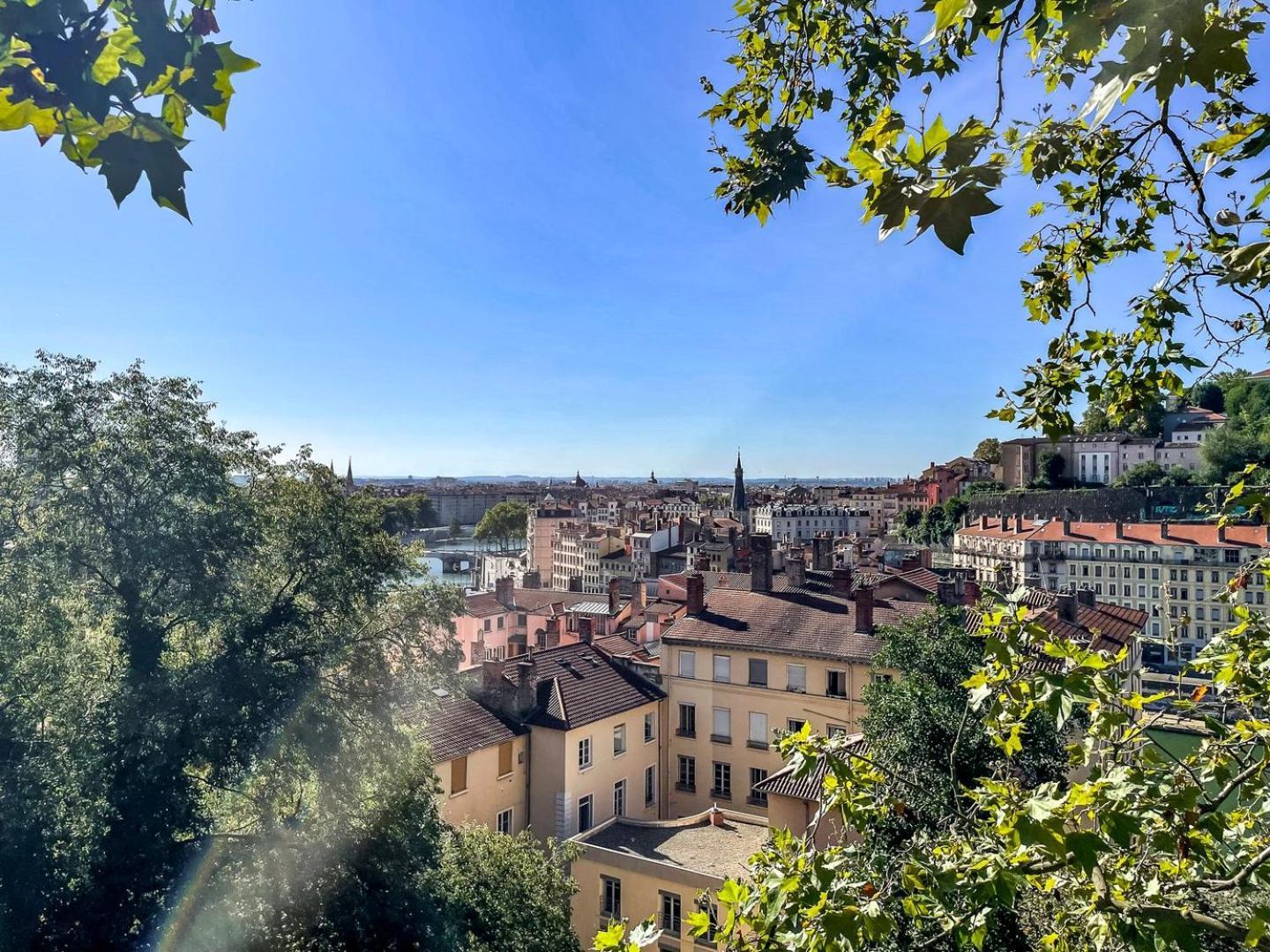 Le Duplex Des Pentes Ail Apartment Lyon Luaran gambar